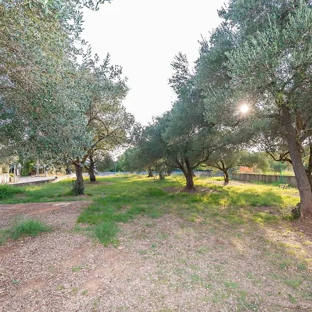 Exquisite In Kozino With Terrace Apartment Zadar